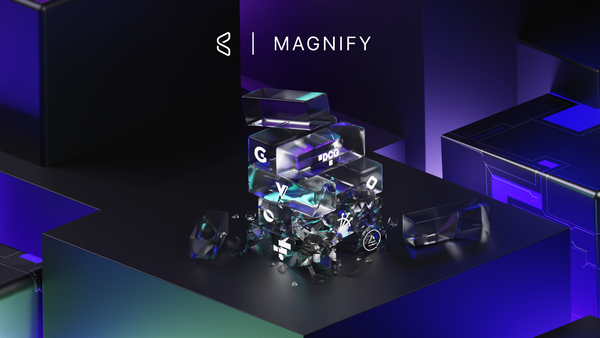 Build Back Better - Magnify #17